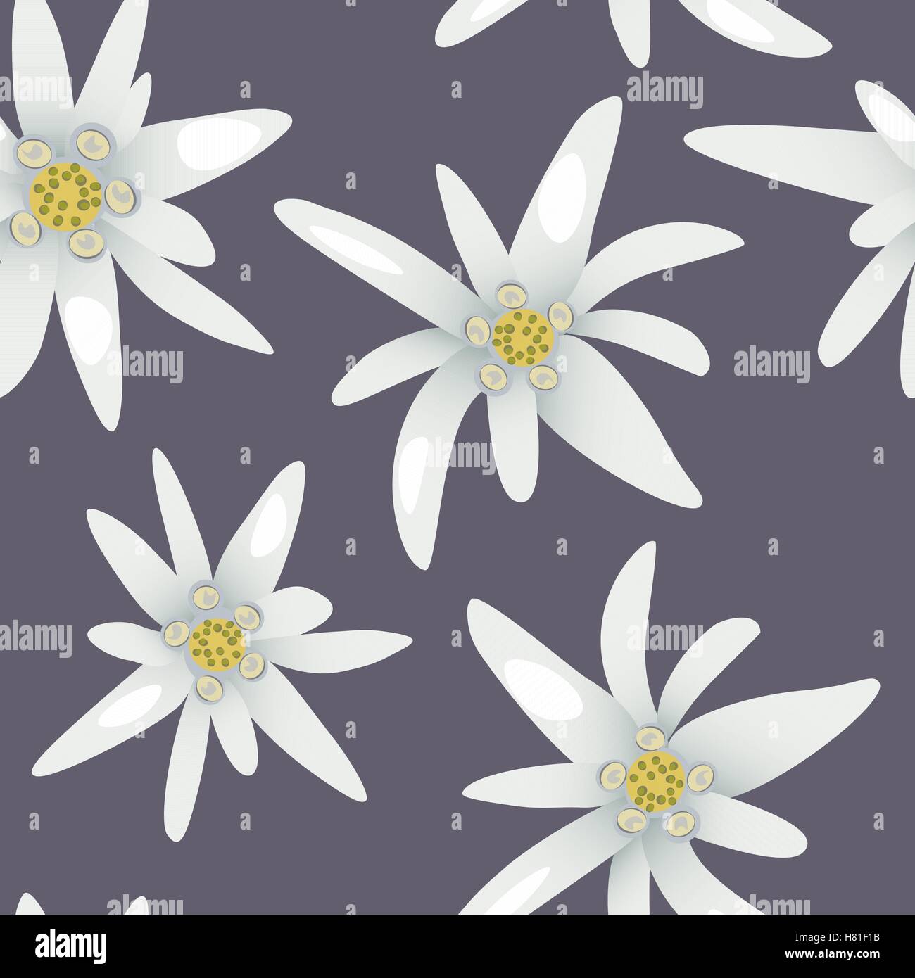 My Image 10
