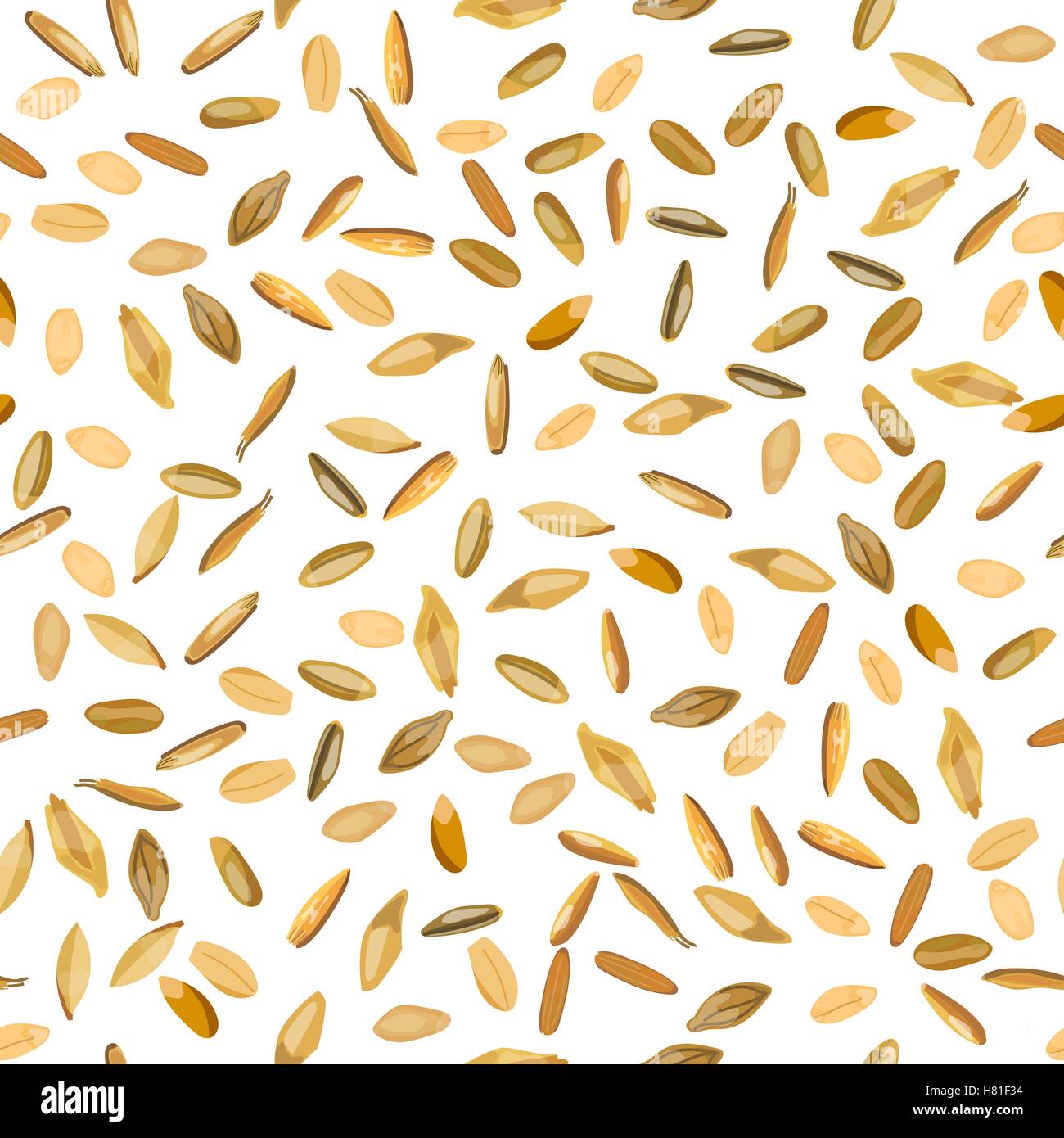 Seamless pattern wheat and rye grains. Vector illustration. Isolated ...