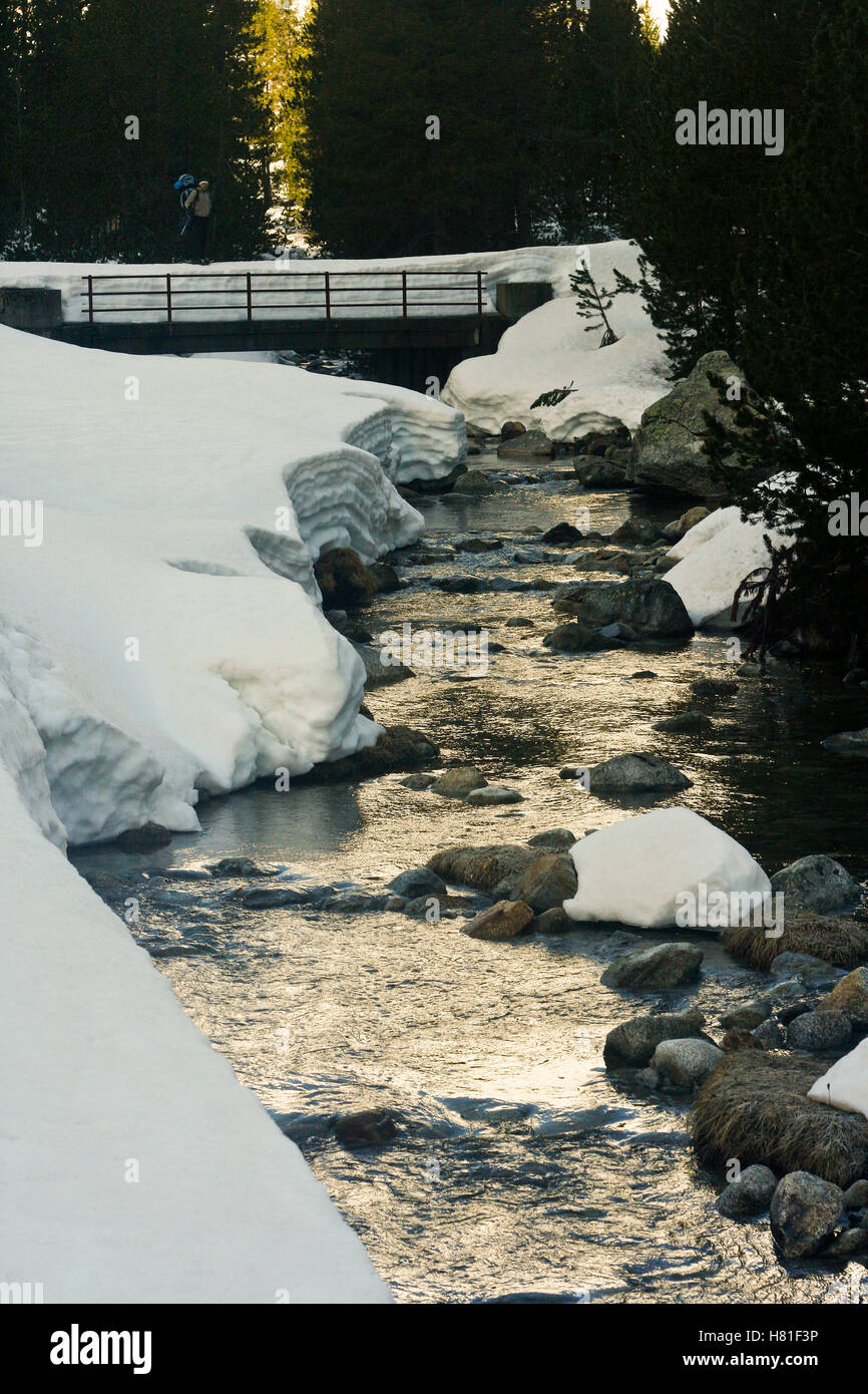 Aiguamog river. Banhs de Tredos. Pyrenees. Lleida, Catalonia. Spain Stock Photo