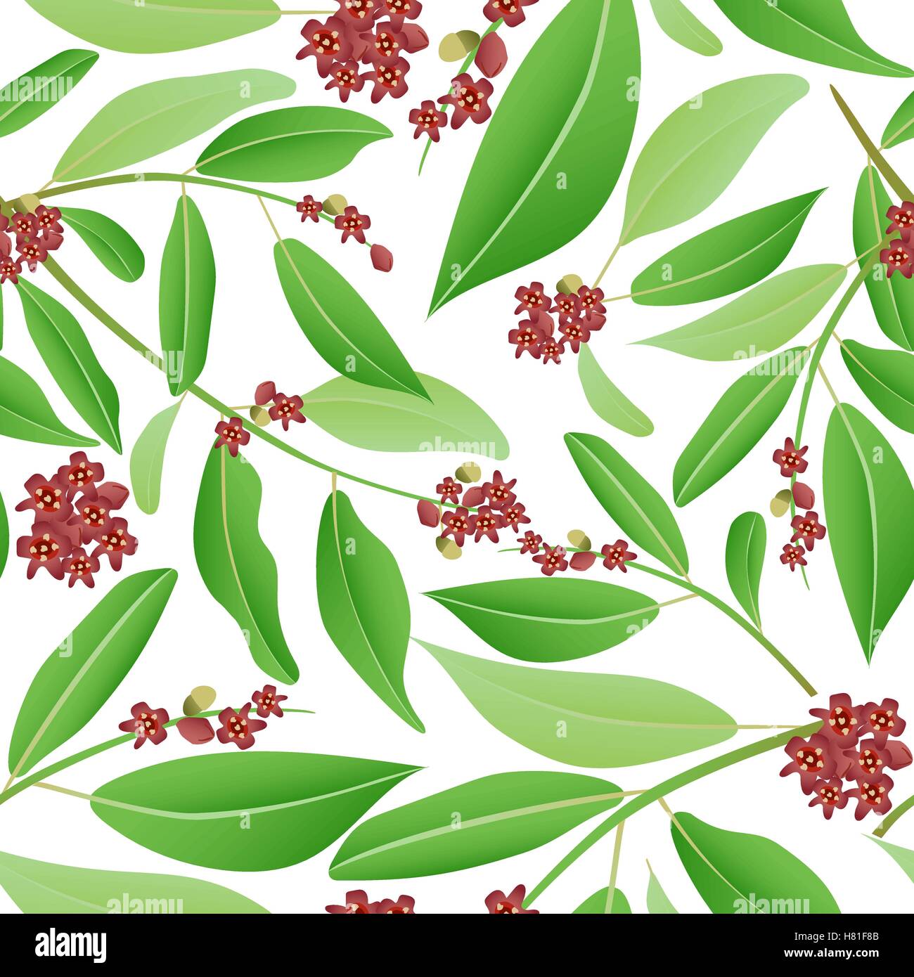 Floral seamless pattern sandalwood. Sandalwood tree branch with red flowers and green leaves. Vector illustration can be used in Stock Vector