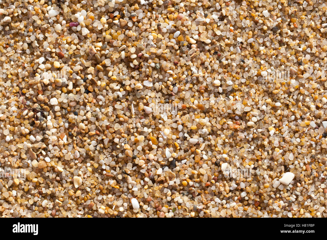 Close-up view of beach sand Stock Photo