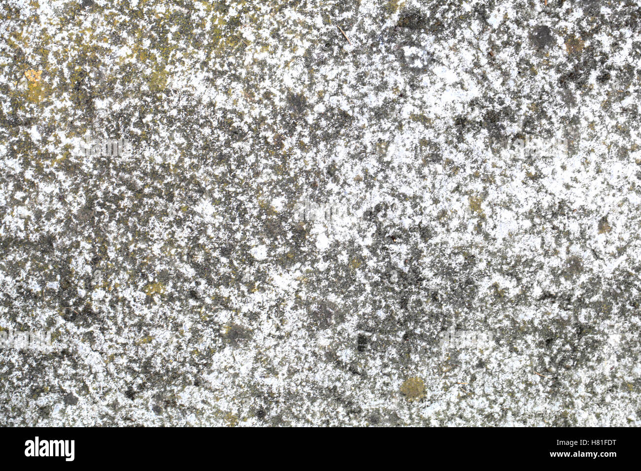 Stained concrete block wall background Stock Photo Alamy