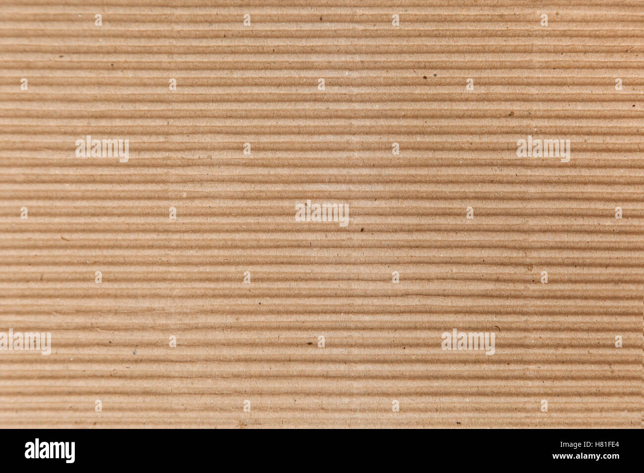 Corrugated cardboard layer pads and flexible singleface corrugated paper in  roll isolated on white. Environmentally friendly paper packaging Stock  Photo - Alamy