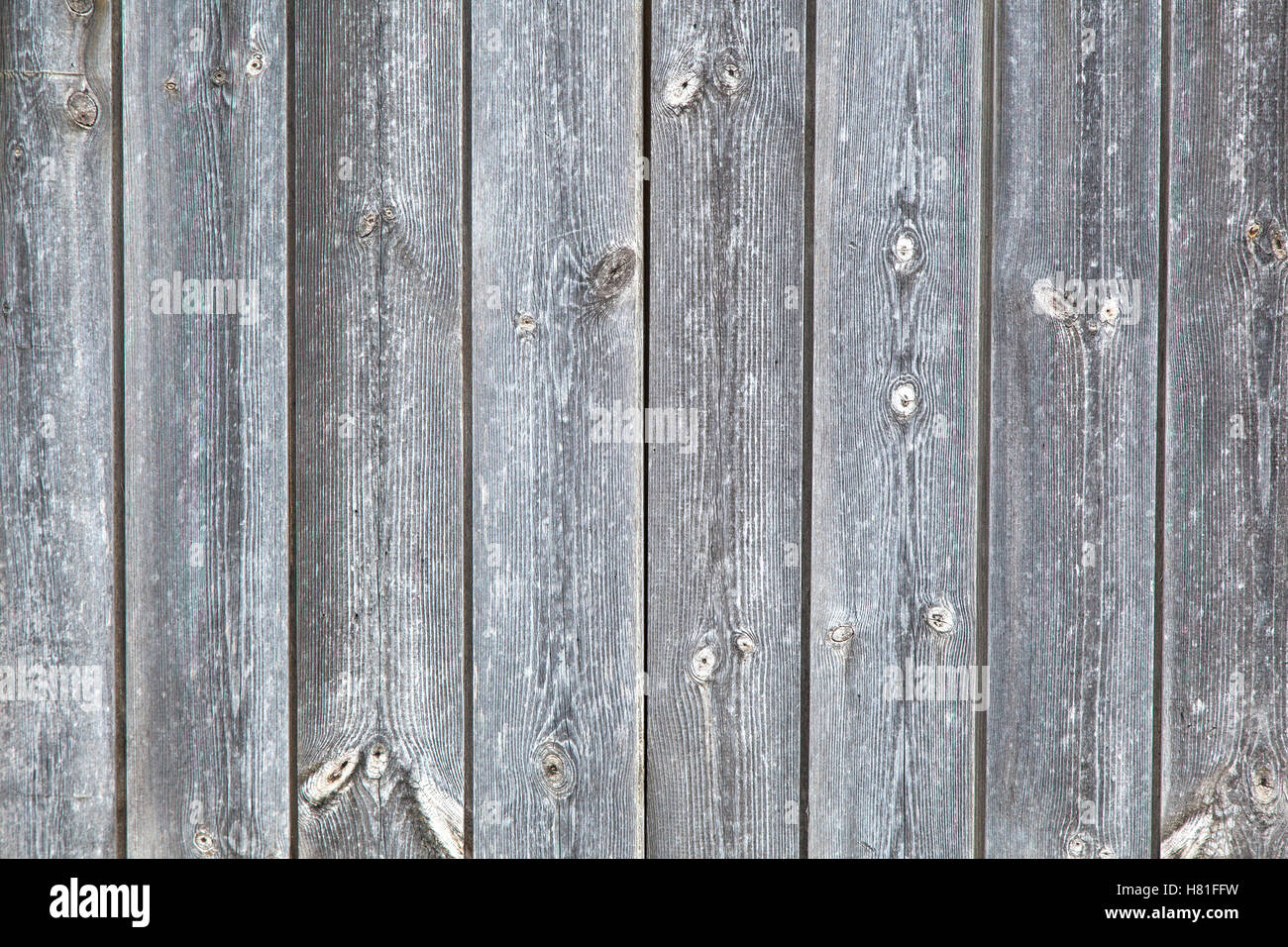 Wood plank texture for your background Stock Photo