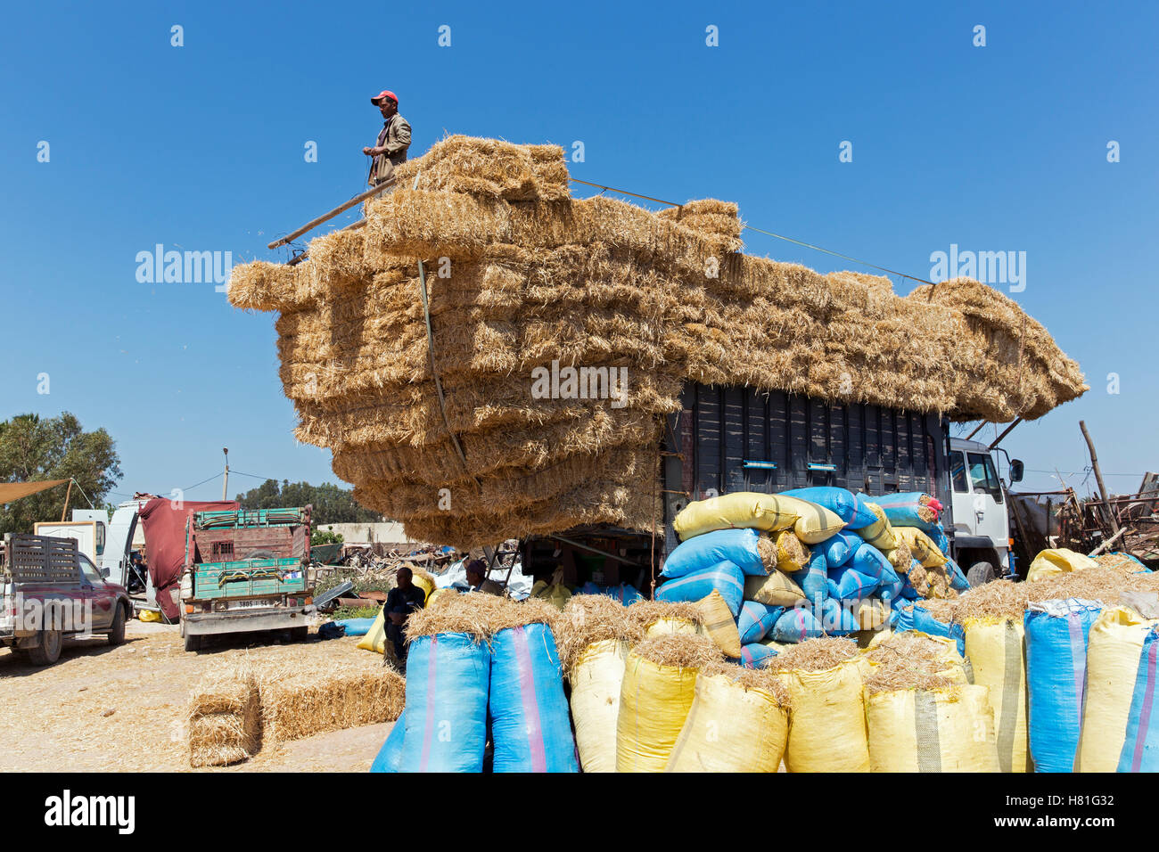 Morocco,Rissani, bales of straw loaded on a transport truck. Stock Photo