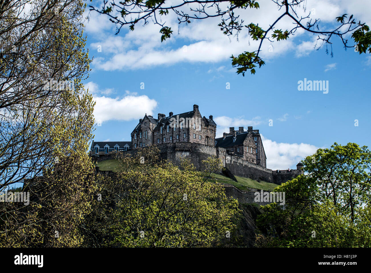 Edinburgh city the historic Castle Rock sunny Day through Trees Stock Photo