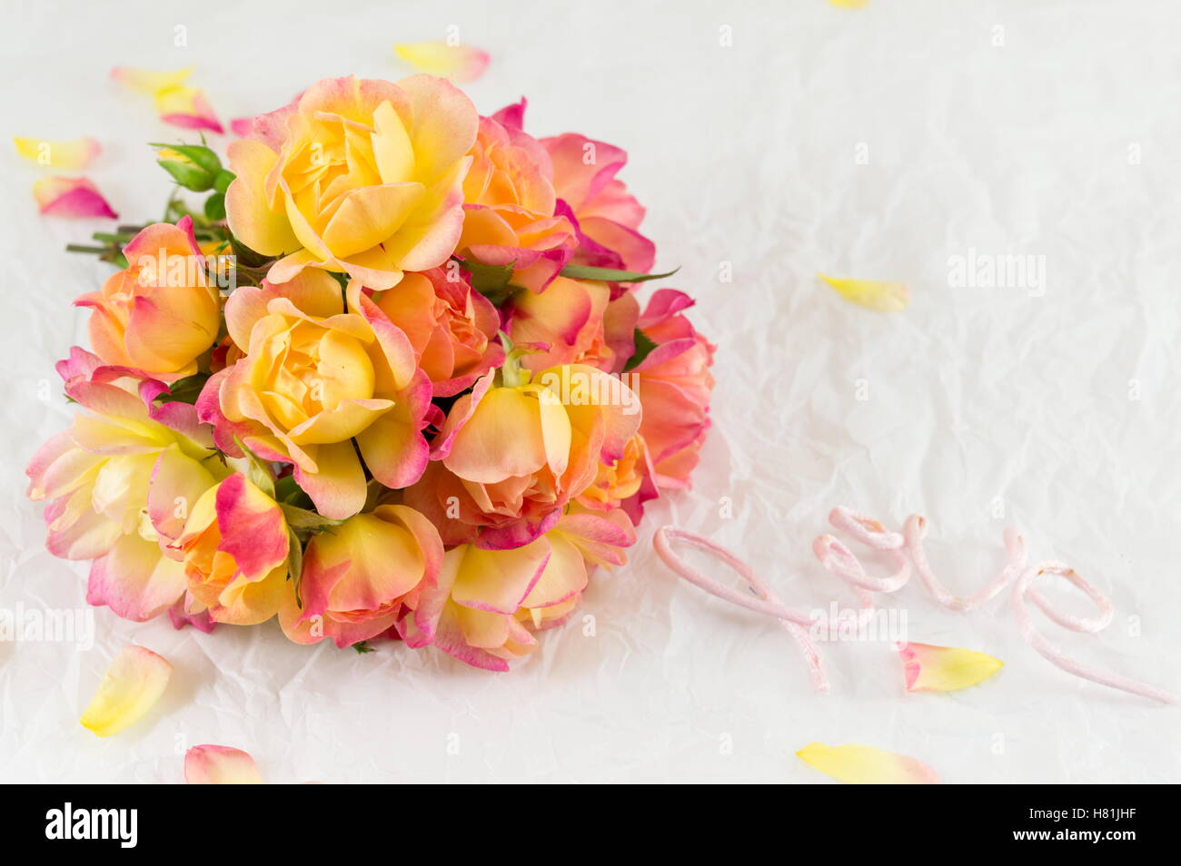 Red and yellow fresh roses on white background Stock Photo