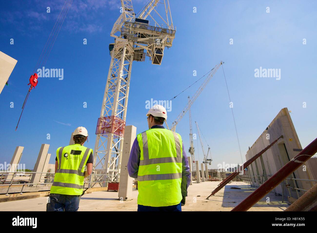 Workers wearing safety clothing watching construction using tower cranes. Stock Photo