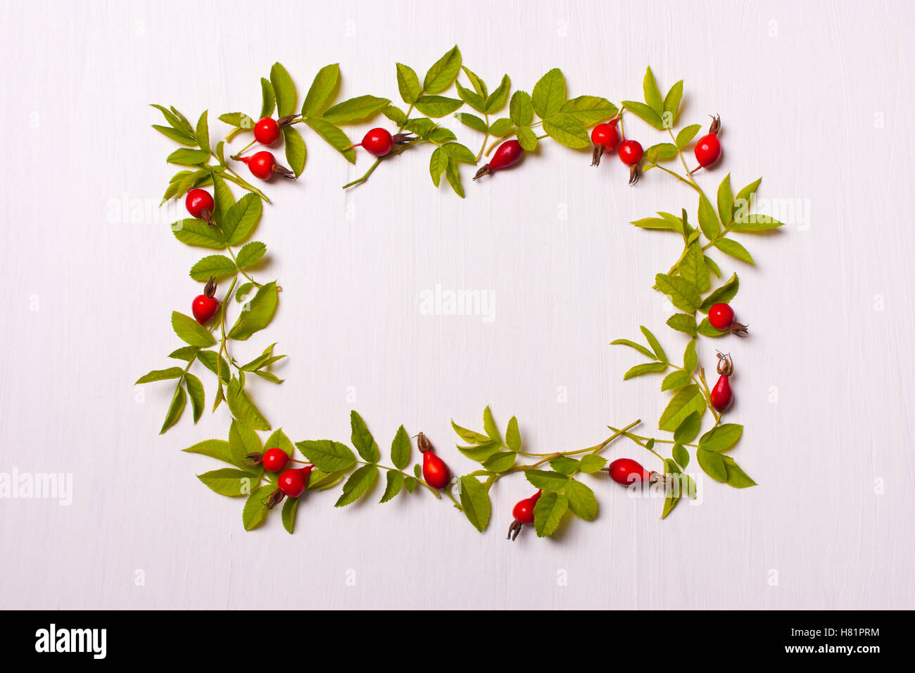 The square frame with leaves and red flowers, berries.Flat lay, top view. Stock Photo