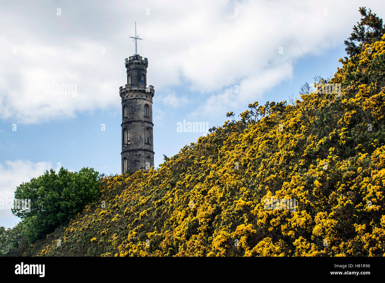 Edinburgh city the historic Calton Hill Monuments yellow flowers Stock Photo