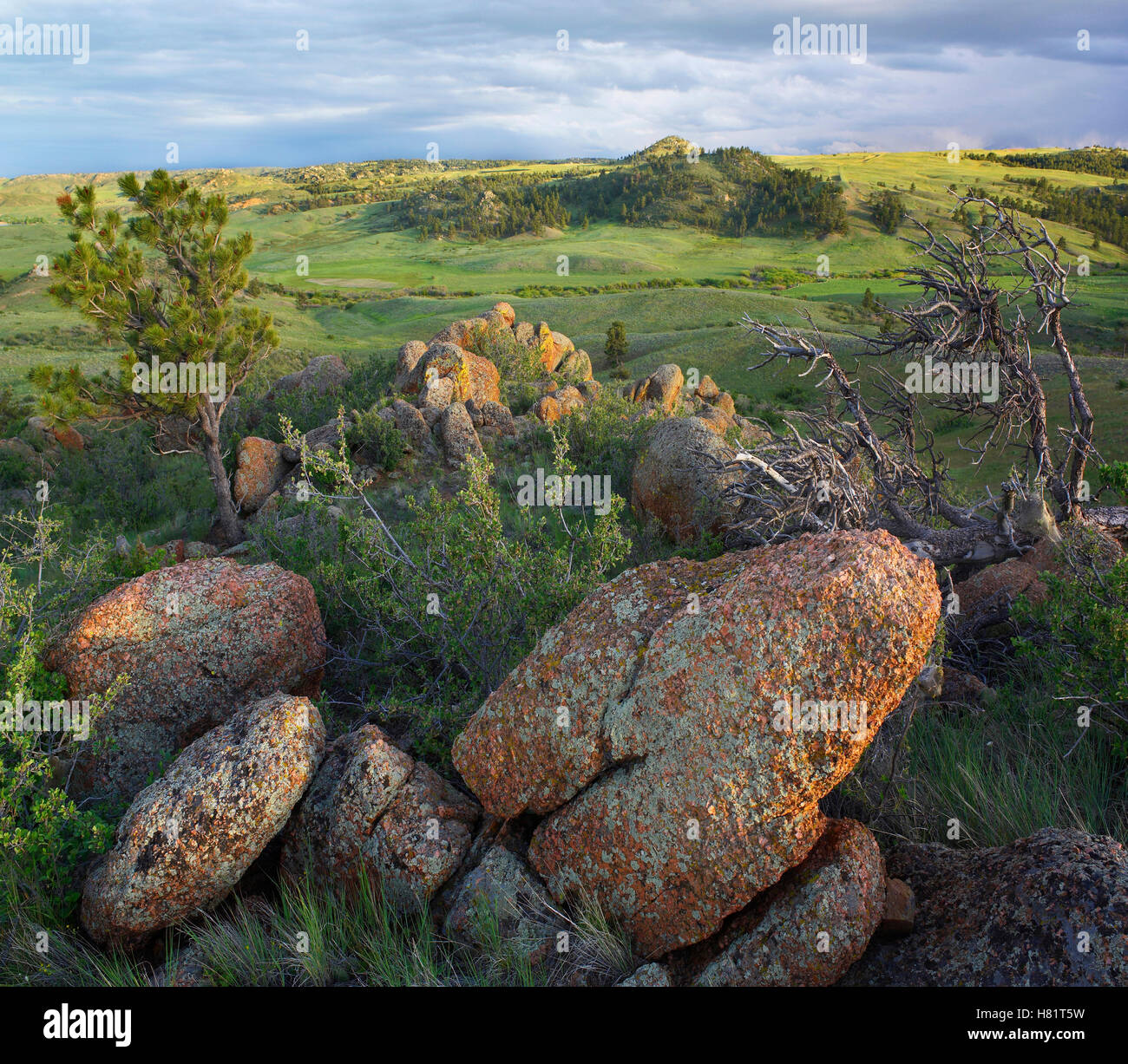 Rocks and grassland, Medicine Bow-Routt National Forest, Wyoming Stock ...