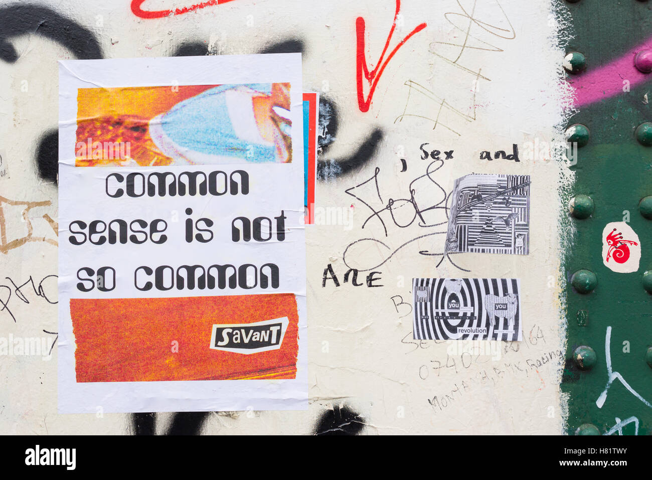 Street art poster attached to a wall with quote from Voltaire 'Common sense is not so common' on it from street artist Savant. Stock Photo