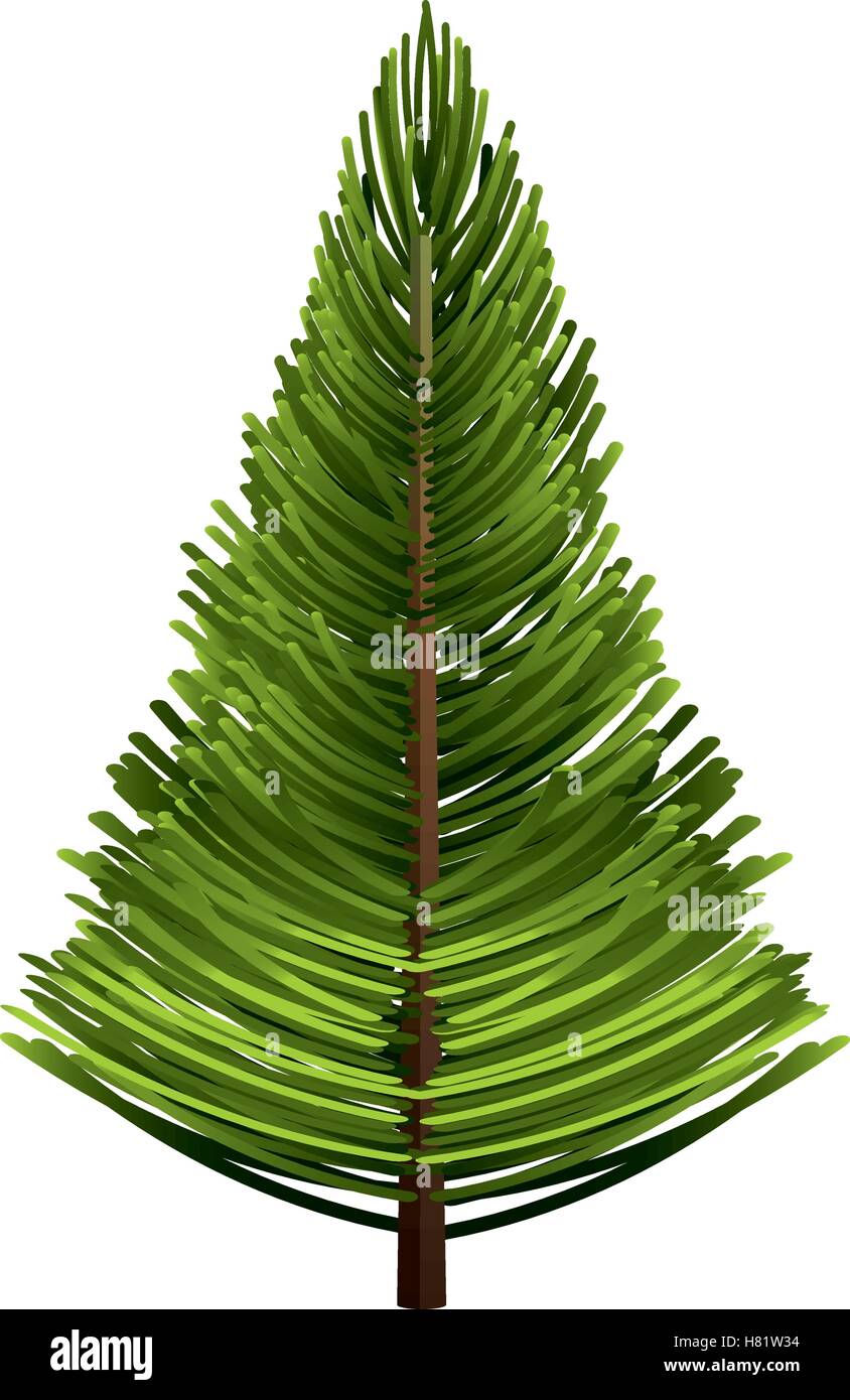 tree pine forest icon vector illustration design Stock Vector Image ...