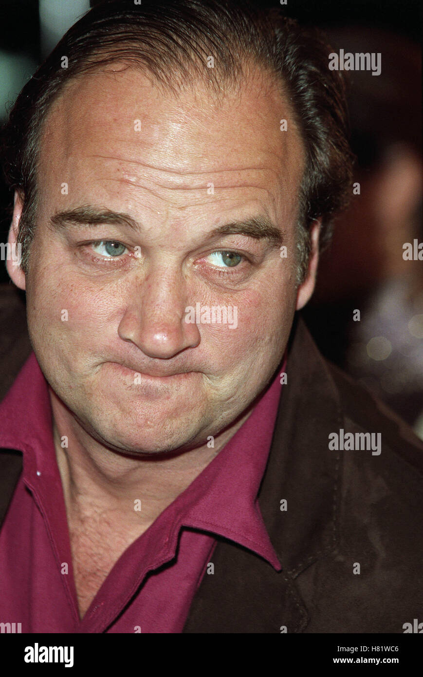 Jim Belushi abeille