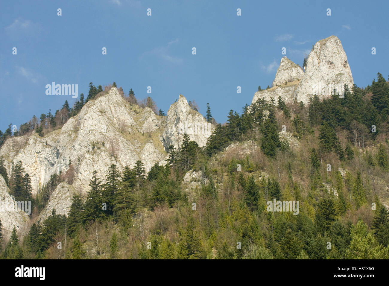 Three Crowns mountain ridge, Pieniny National Park, Poland Stock Photo