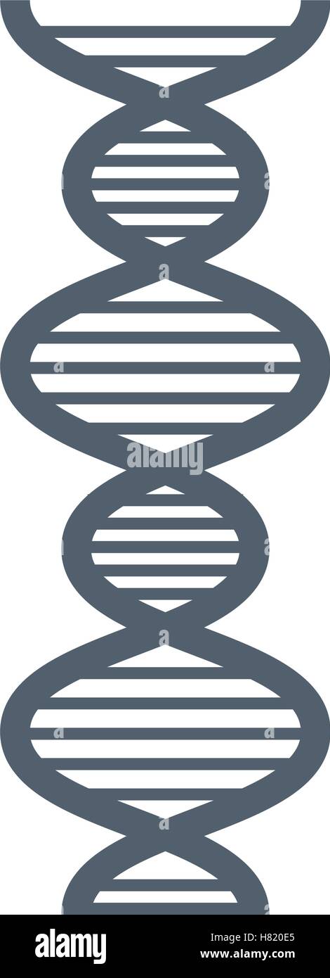 dna molecule isolated icon vector illustration design Stock Vector ...
