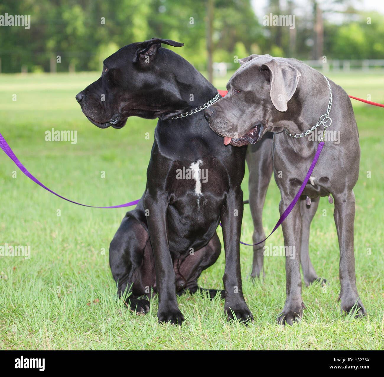 Do something great hires stock photography and images Alamy