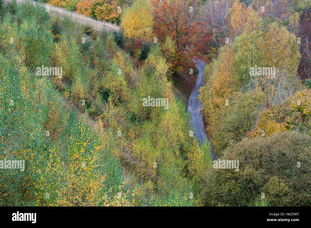 Nailsworth valley road and autumn trees. Woodchester, Cotswolds, Gloucestershire, UK Stock Photo