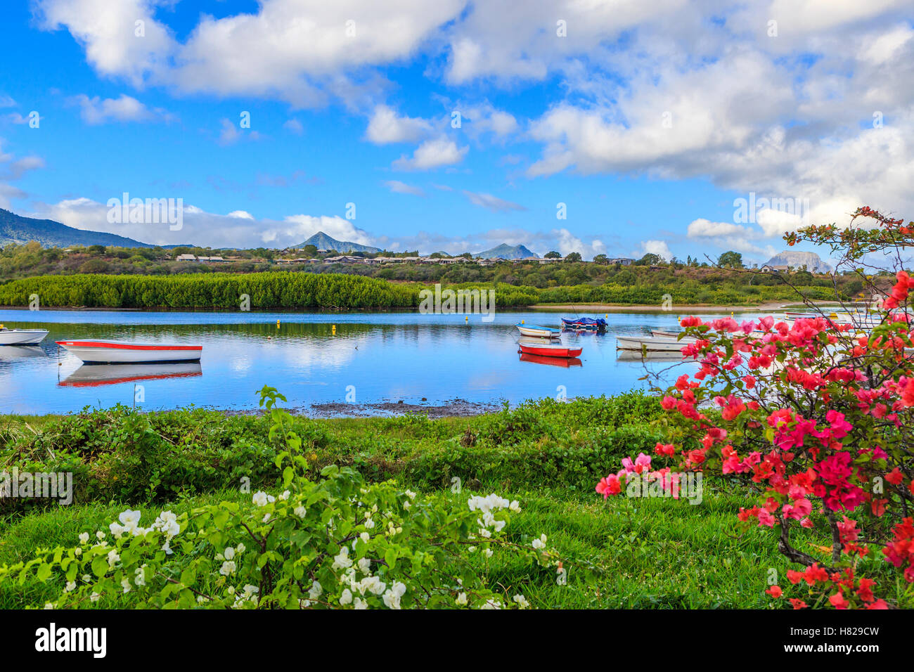 Small boats moored on the Grande Riviere Noire, Grande Riviere Noire