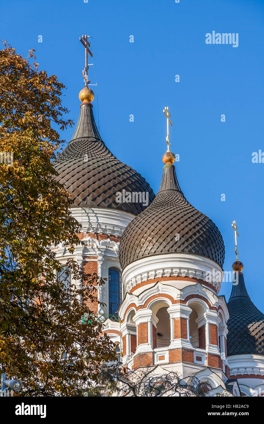 Alexander Nevsky Cathedral in Autumn Tallinn Stock Photo