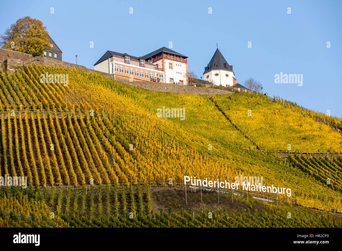 Moselle valley, Germany, Marienburg castle, vineyards, near Pünderich, Stock Photo