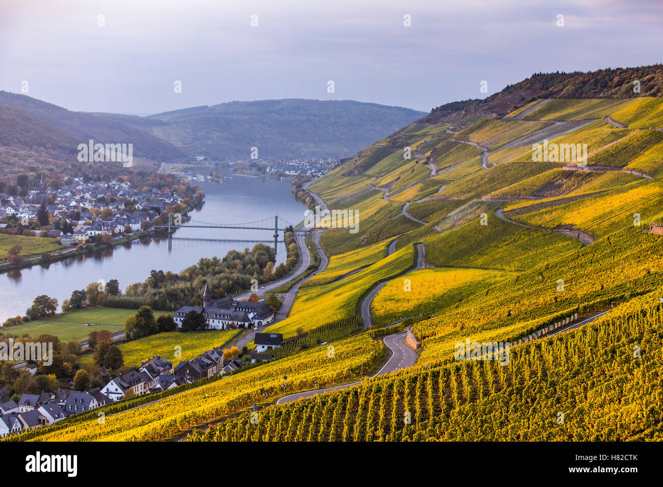 Vineyards, in fall, Moselle valley, Germany, near the village of Graach, Stock Photo