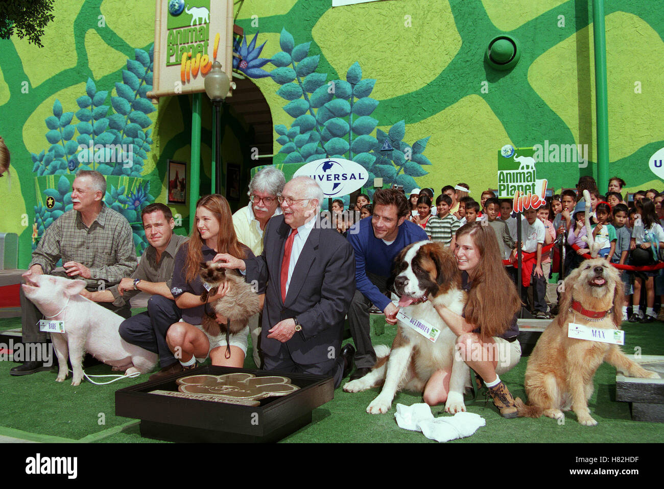 Famous Animal Actors