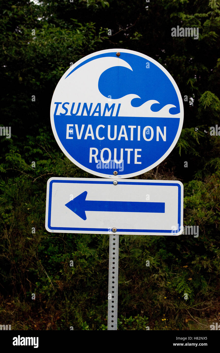 Last tsunami in tofino