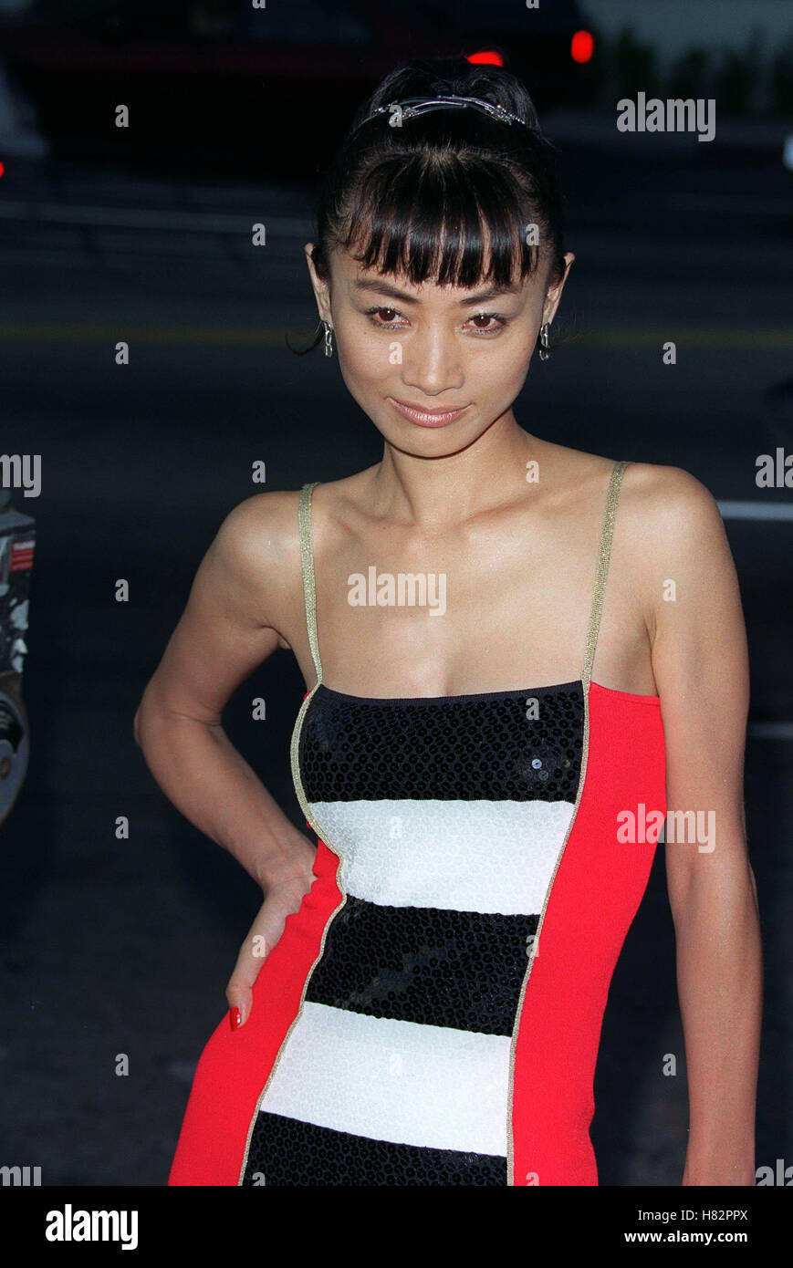 BAI LING THE OTHERS PREMIERE LOS ANGELES DGA HOLLYWOOD LOS ANGELES USA