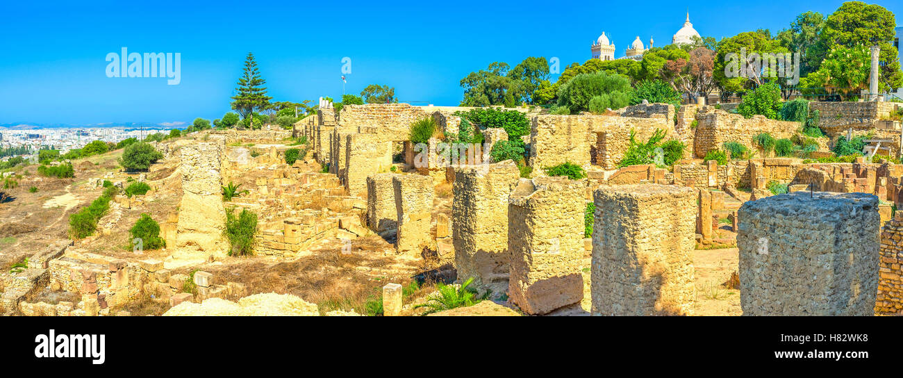 Ruins Of Carthage High Resolution Stock Photography And Images Alamy