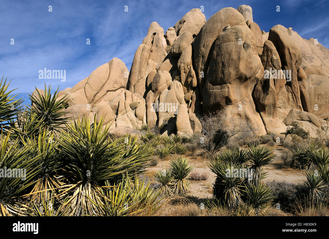 Granite rock formations, Joshua Tree National Park, California Stock ...