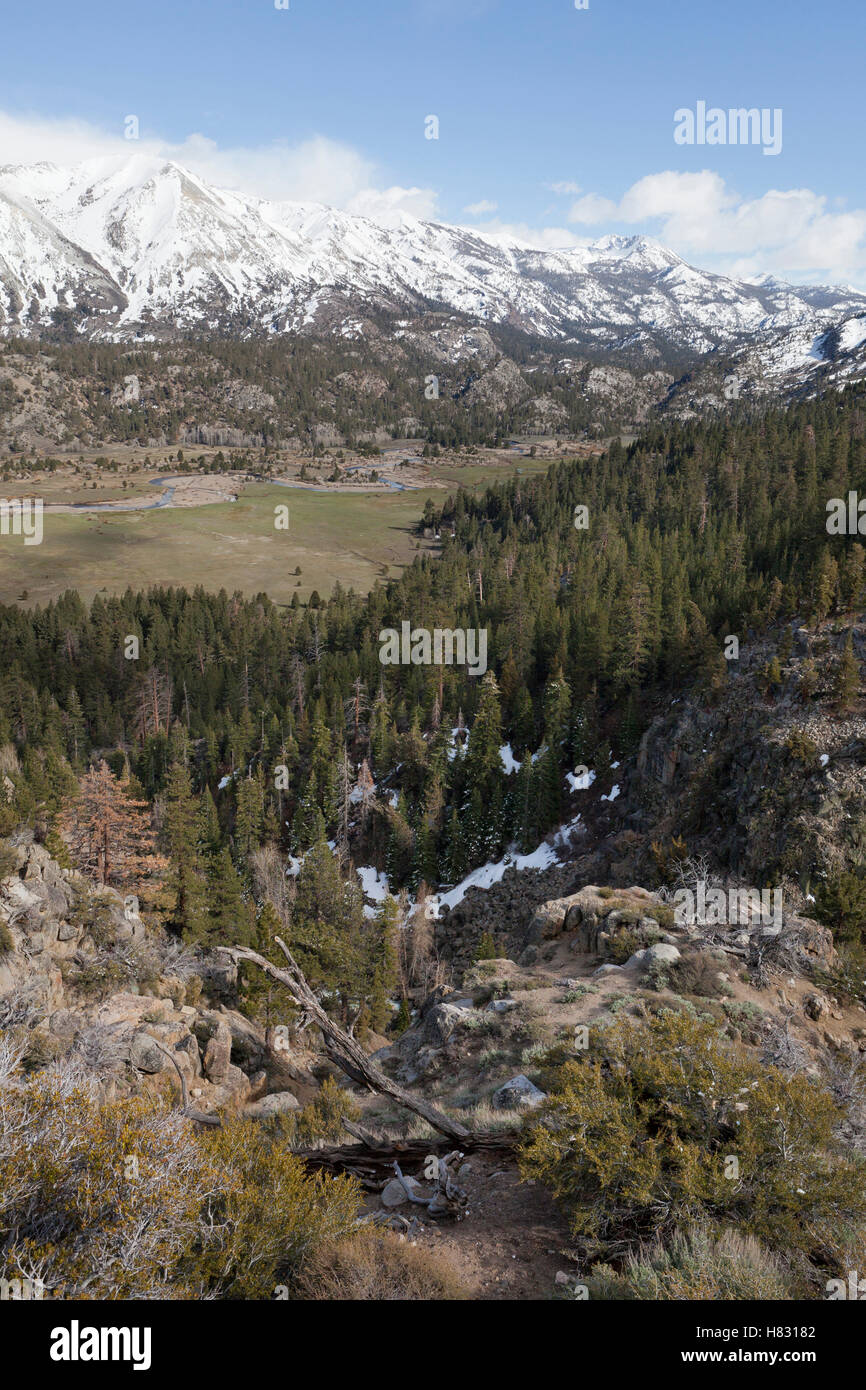 Meadow valley between mountain ridges, Sonora Pass, California Stock