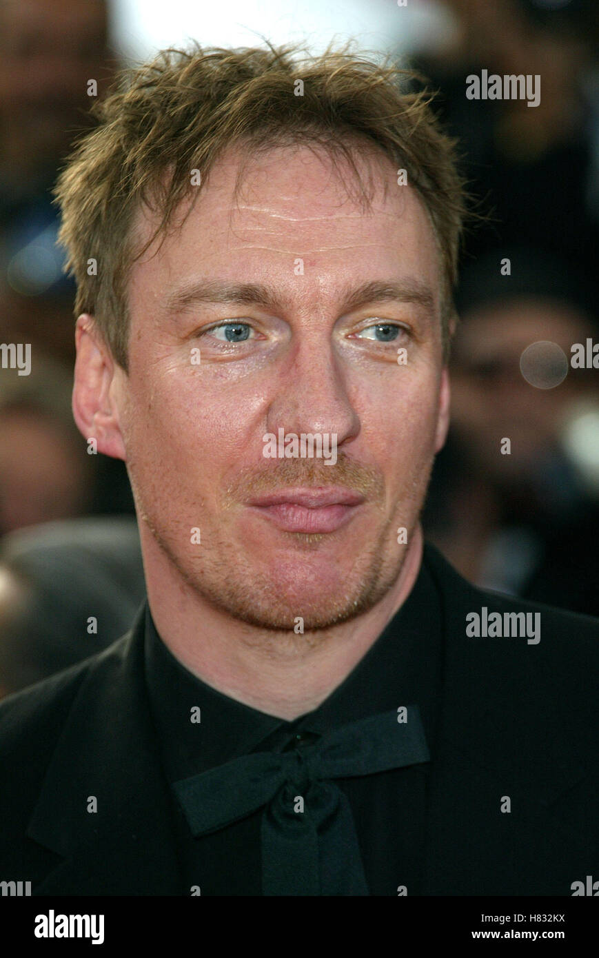 DAVID THEWLIS CANNES FILM FESTIVAL 2002 CANNES FILM FESTIVAL CANNES FRANCE 17 May 2002 Stock Photo