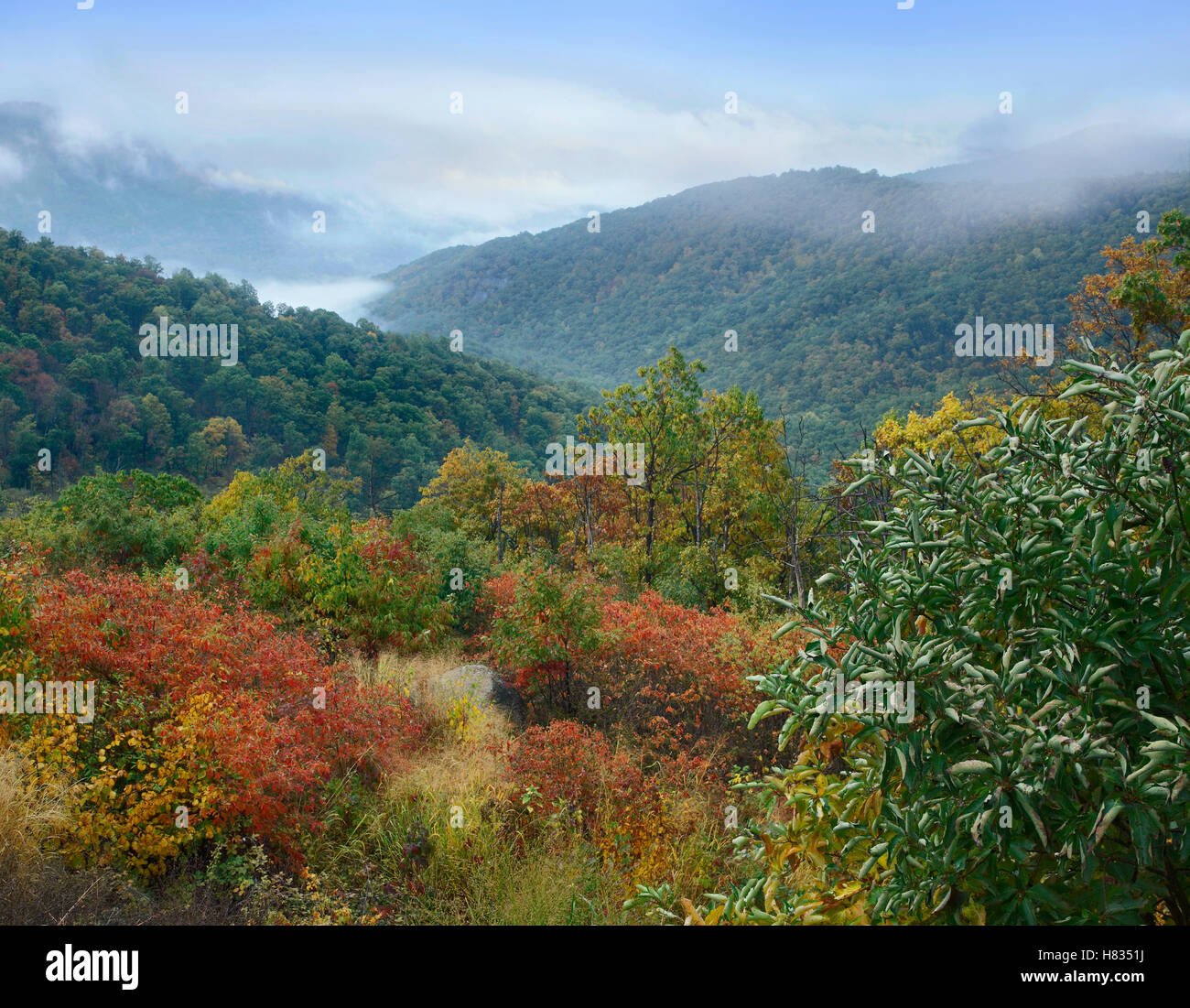 Blue Ridge Range from Buck Hollow Overlook, Shenandoah National Park ...
