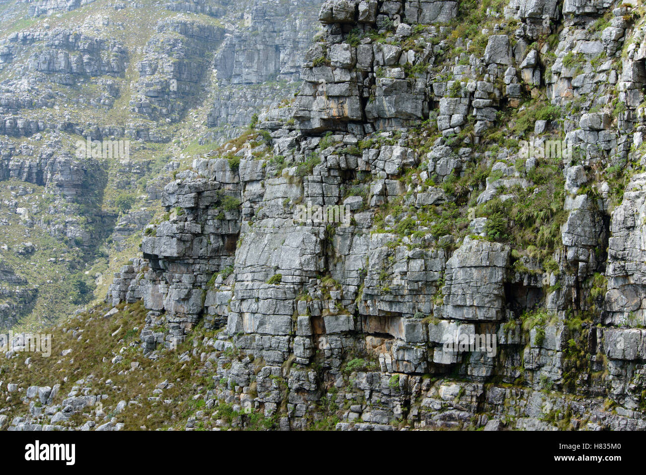 Sandstone cliffs, Table Mountain, Cape Town, South Africa Stock Photo