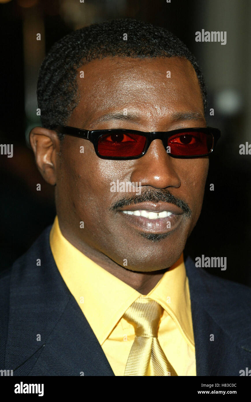 Blade Wesley Snipes High Resolution Stock Photography and Images Alamy