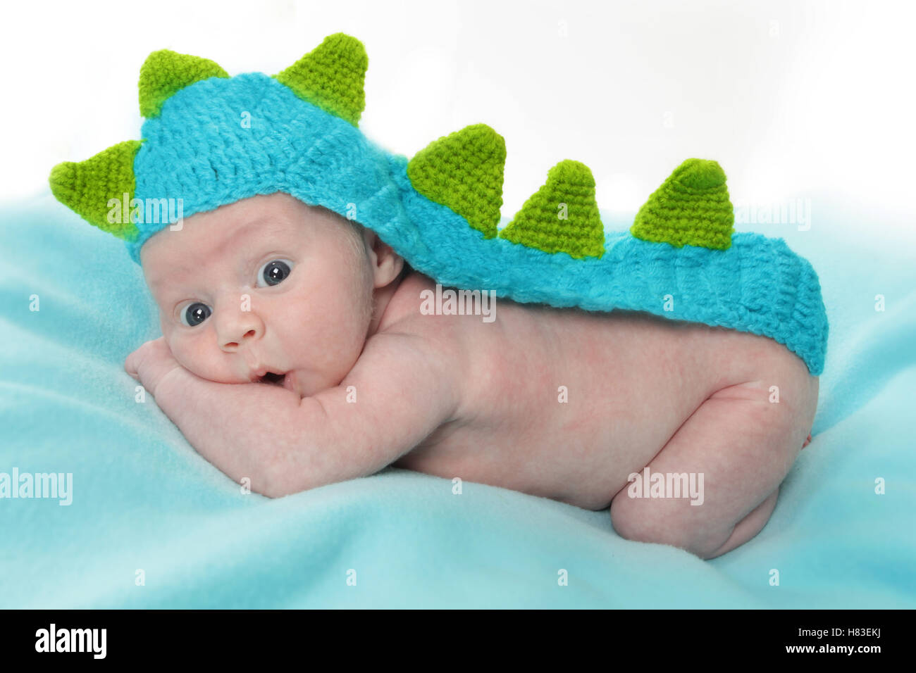 images Newborn Dinosaur Photoshoot https www alamy com stock photo newborn baby boy playing on blanket dinosaur photography studio background 125467206 html