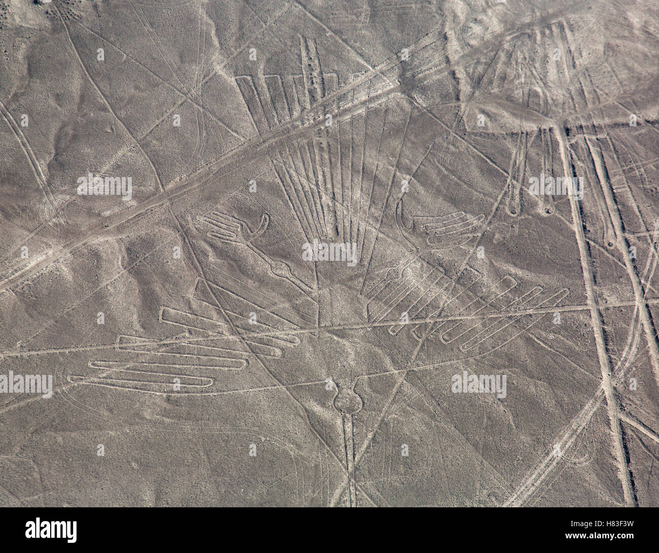 Nazca Lines - The Condor Stock Photo - Alamy