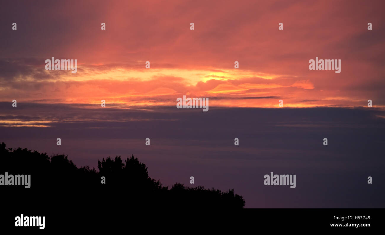 A colorful sunset sky in autumn with tree silhouettes Stock Photo - Alamy