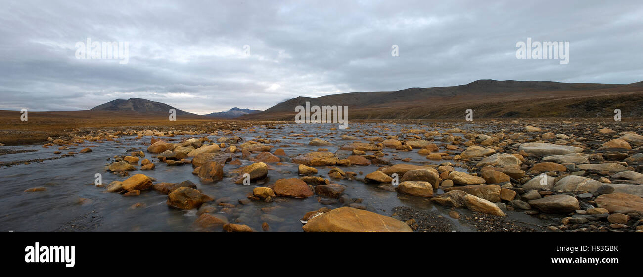 River lined with rocks, Wrangel Island, Russia Stock Photo - Alamy