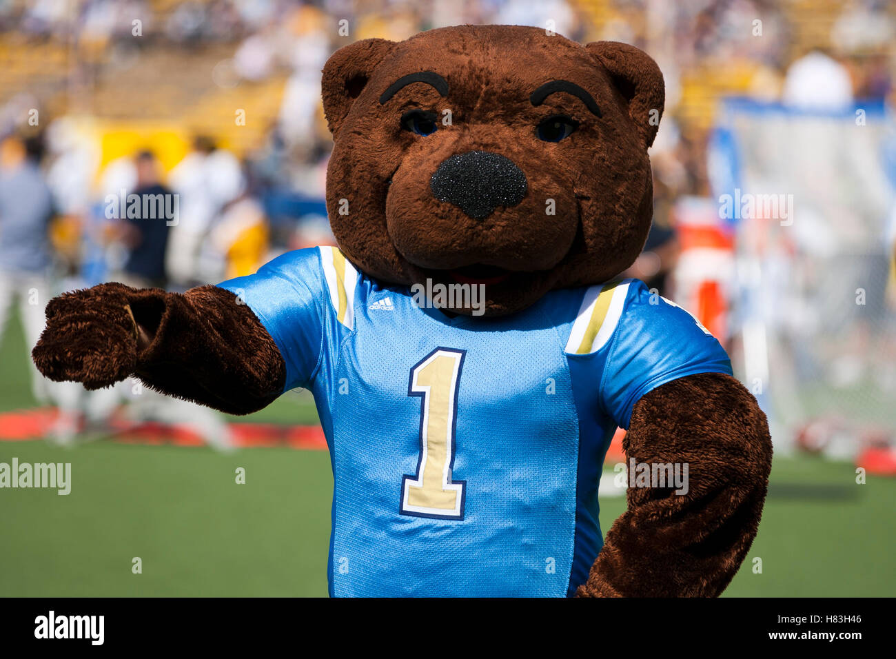 Ucla mascot hi-res stock photography and images - Alamy
