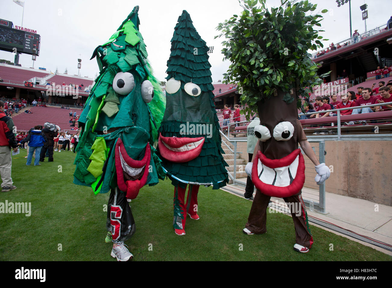 The stanford cardinal mascot hi-res stock photography and images - Alamy