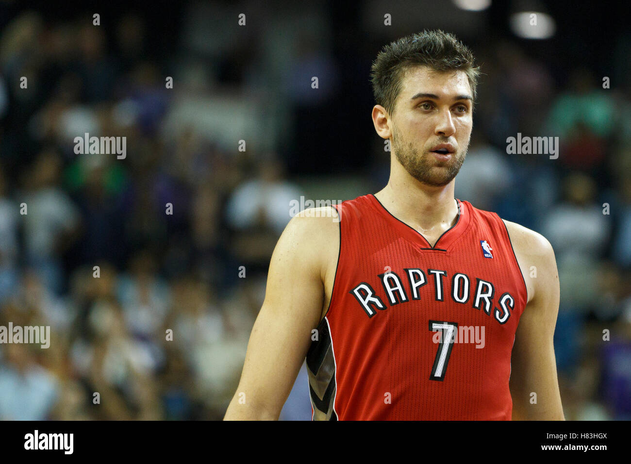 The raptors andrea bargnani hi-res stock photography and images - Alamy