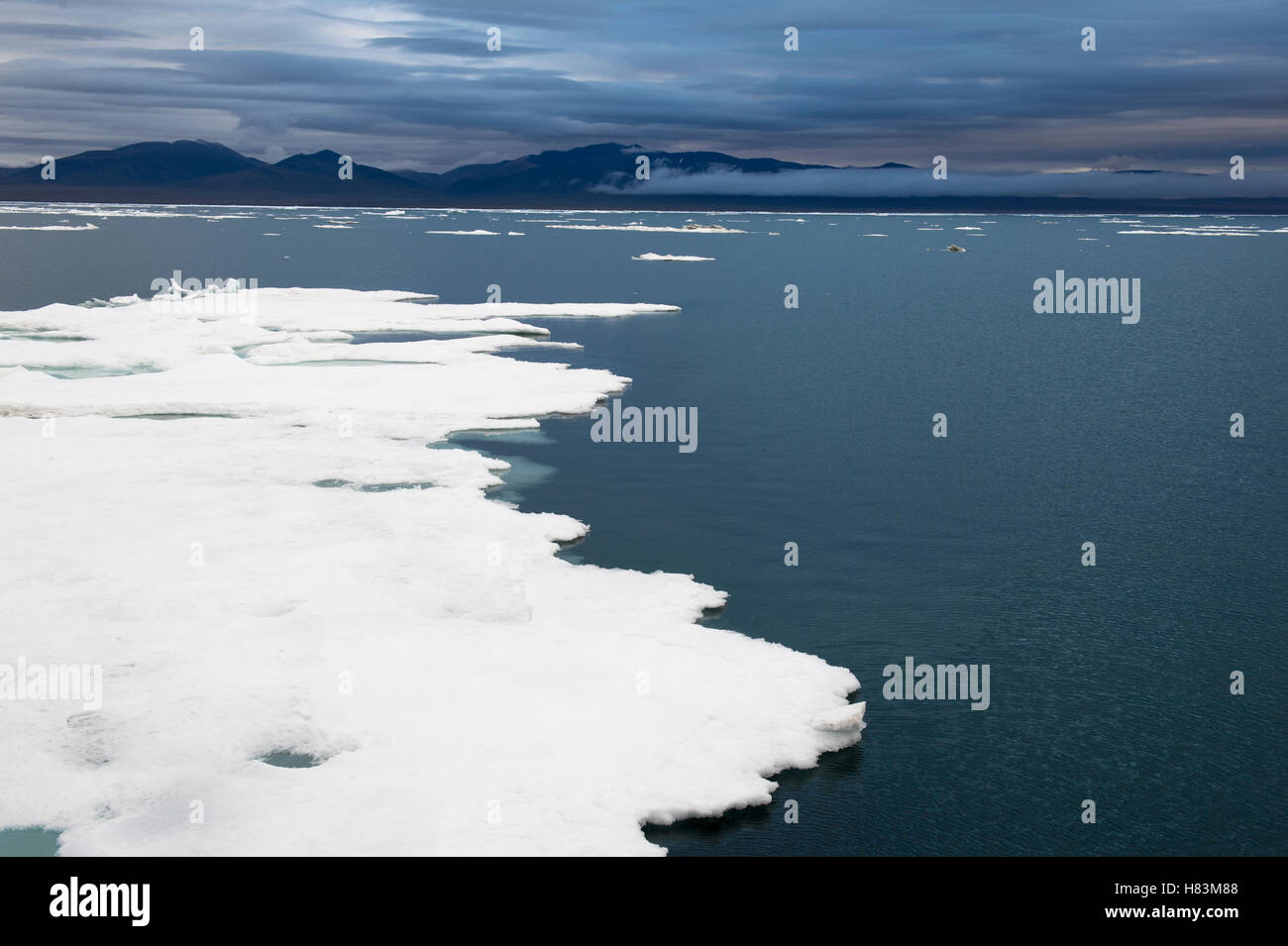 Floating ice with mountain range in distance, Wrangel Island, Russia
