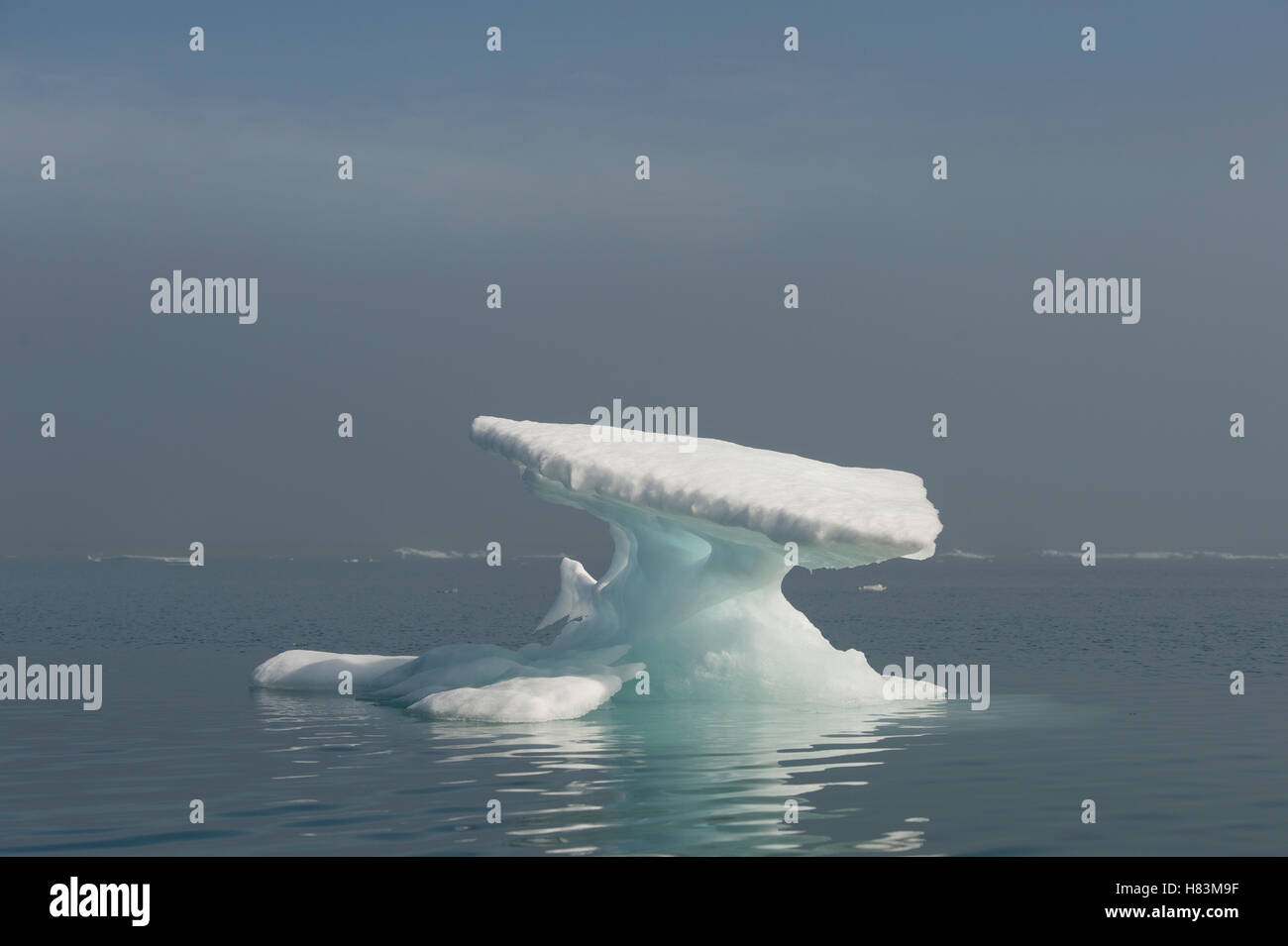 Floating iceberg melted into an anvil shape, Wrangel Island, Russia ...