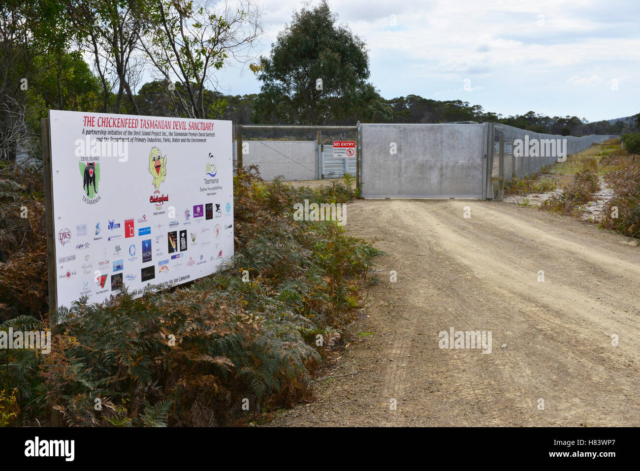 Tasmanian Devil (Sarcophilus harrisii) captive breeding facility, to