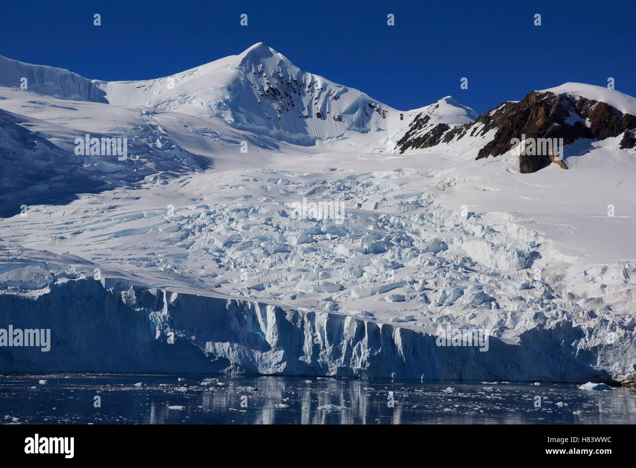 Glacier, Antarctic Peninsula, Antarctica Stock Photo - Alamy