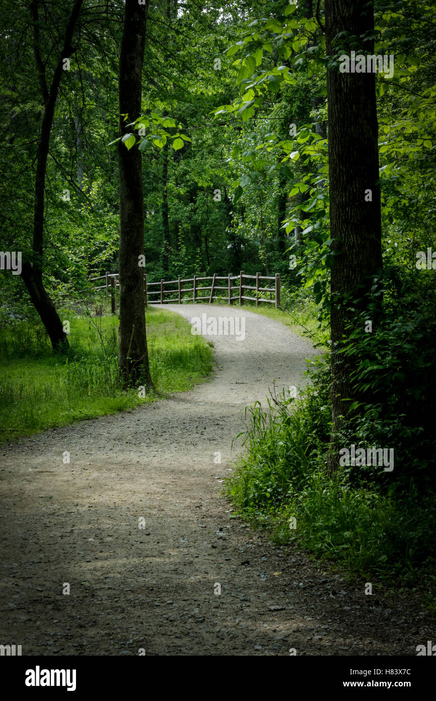 Footpath at Boyce Park in Charlotte NC Part of the McAlpine Greenway