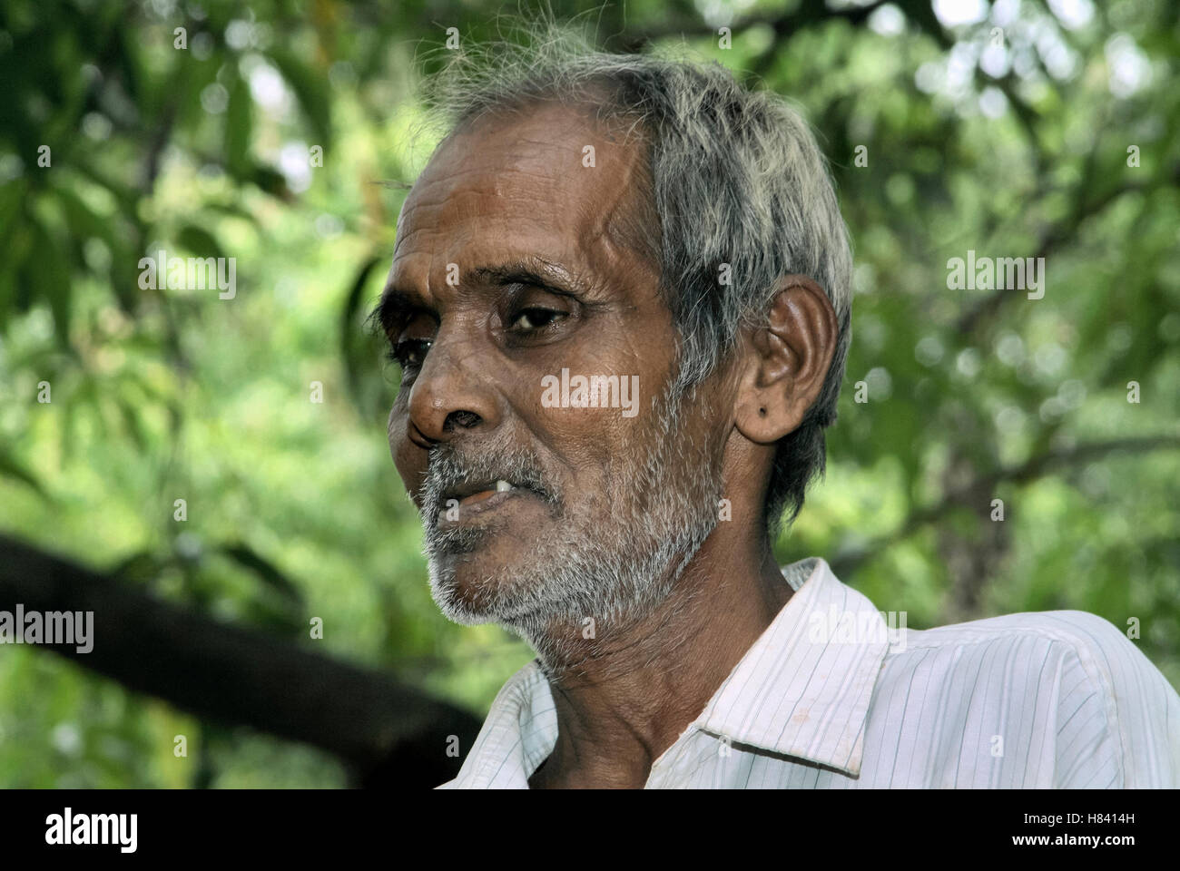 Indian old farmer hi-res stock photography and images - Alamy