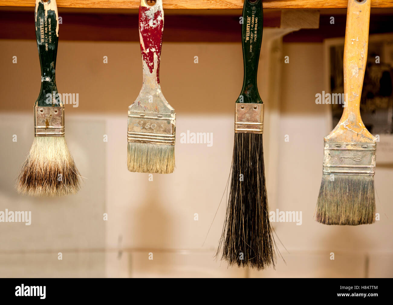 Artist paint brushes hanging in a studio Stock Photo Alamy